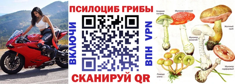 Галлюциногенные грибы мицелий  Кузнецк 